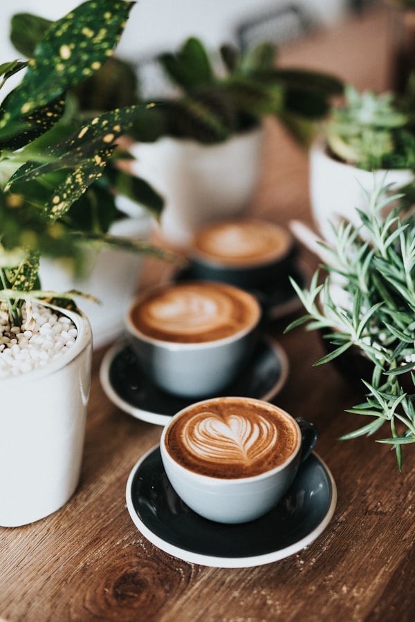 Barista preparando café